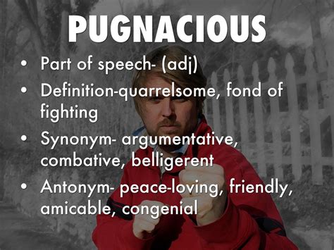 pugnacious antonyms